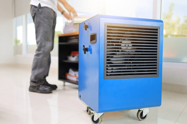 Best Mold Removal for HVAC Installations  in Sebewaing, MI