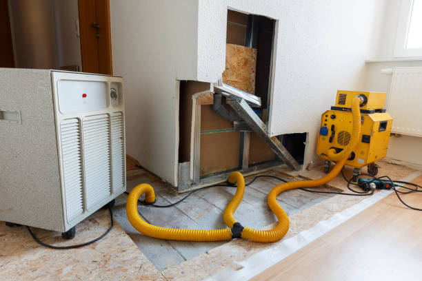 Reliable Sebewaing, MI Mold Removal Solutions